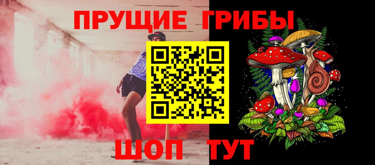 Саранск  Псилоцибиновые грибы Psilocybine cubensis  Вход с VPN 