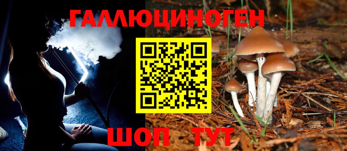 Саранск  Гашиш  ГАШ  Вход с VPN  Меф   MDMA  НБОМе 