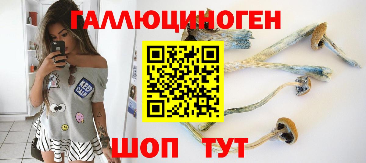 Галлюциногенные грибы Psilocybine cubensis Саранск
